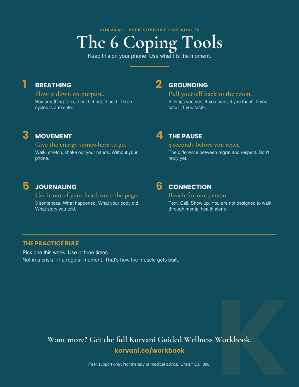 The 6 Coping Tools cheat sheet